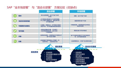 大型集团企业数字化管控平台及信息化治理服务体系建设方案ppt